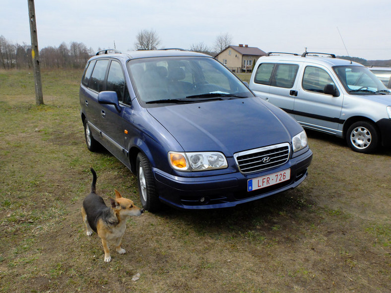 Auto z ogłoszenia - Hyundai Trajet duży van za nieduże pieniądze