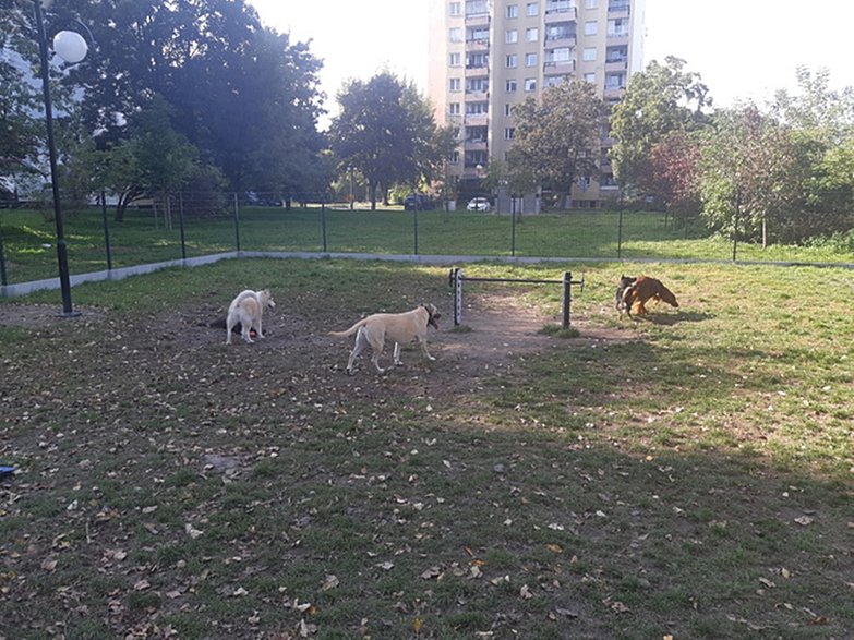 źródło: bo.um.warszawa.pl