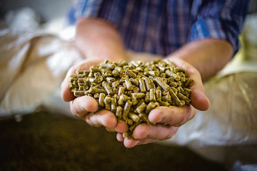 Cena peleta direktno zavisi od cene struje i proizvođači smatraju da je poskupljenje i ovog energenta izvesno