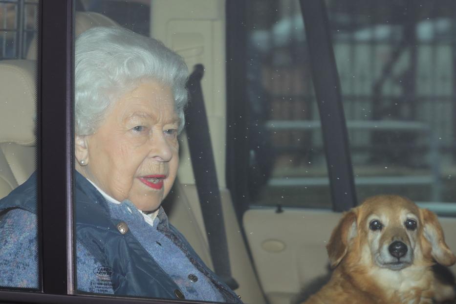 Erzsébet királynő az összes kutyusát nagyon szerette. Fotó: Northfoto