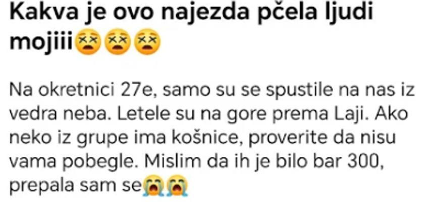 Pčele