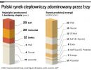 Prywatyzacja SPEC: Warszawie grozi francuski monopol