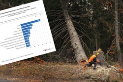 10 najniebezpieczniejszych zawodów w Stanach Zjednoczonych