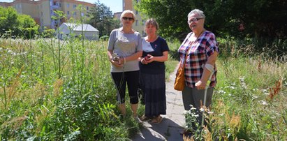 Eko-groza w Łodzi. Skoście wreszcie te trawy. To nie ekologia. To niedbalstwo. Mieszkańcy osiedla Liściasta planują zaprosić prezydent Hannę Zdanowską. Domyślasz się dlaczego?...