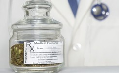 Minister zdrowia: Projekt klubu Kukiz'15 ws. konopi idzie za daleko