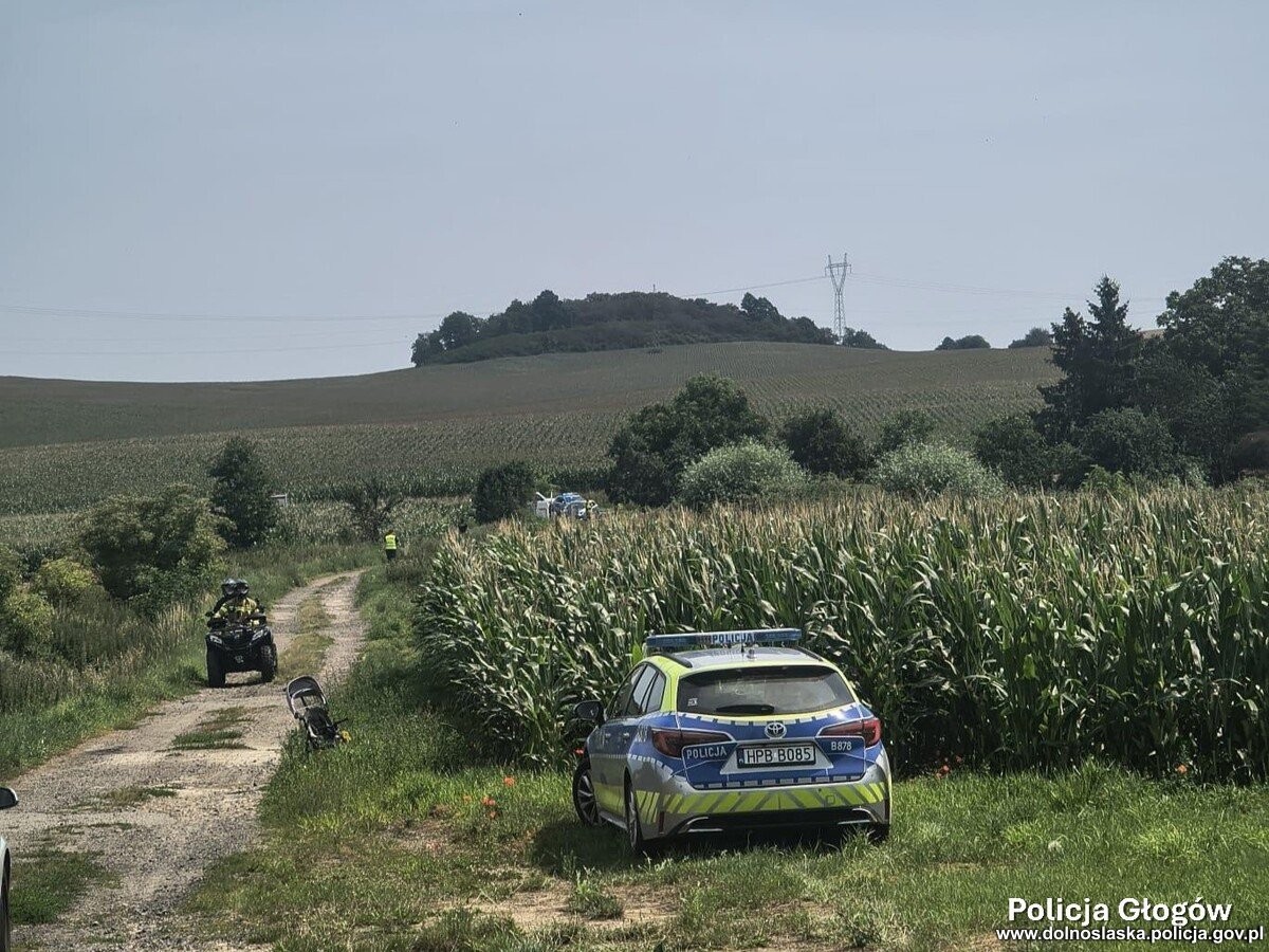 2-latek zgubił się podczas spaceru. Odnalazł się w polu kukurydzy. Policja z apelem