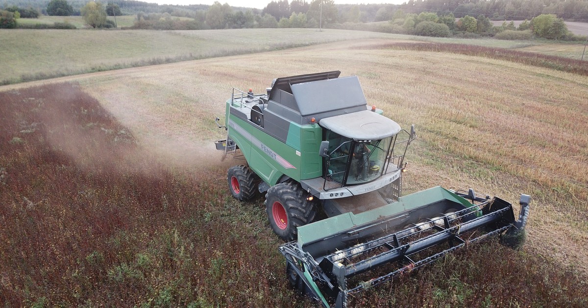 Dramat na polu w Liciszewach. 61-letni rolnik spadł z kombajnu