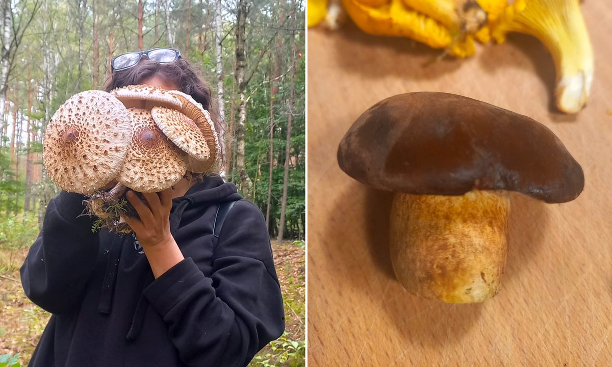 Natalia zbiera grzyby. "To moja ulubiona forma randki"