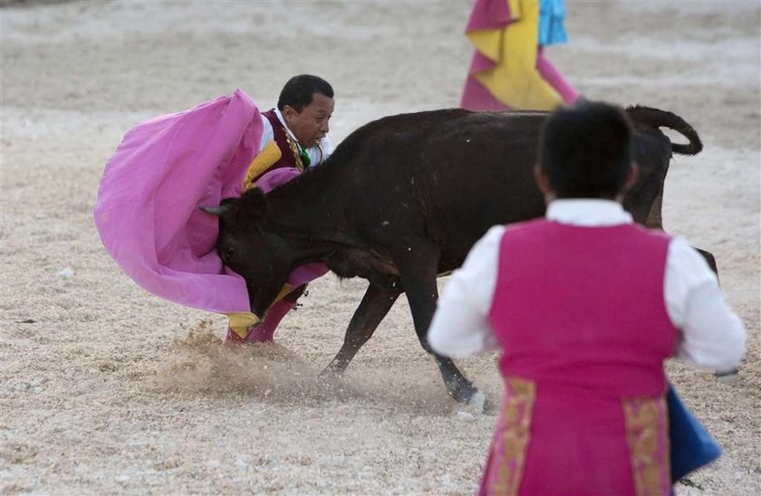 Corrida karzełków