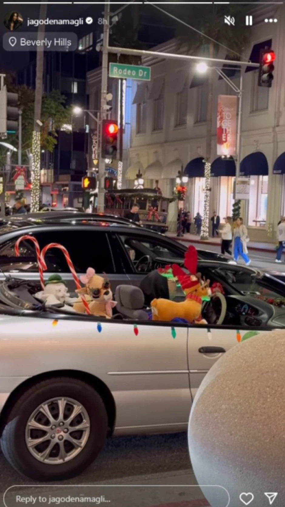 Jelisaveta Orašanin