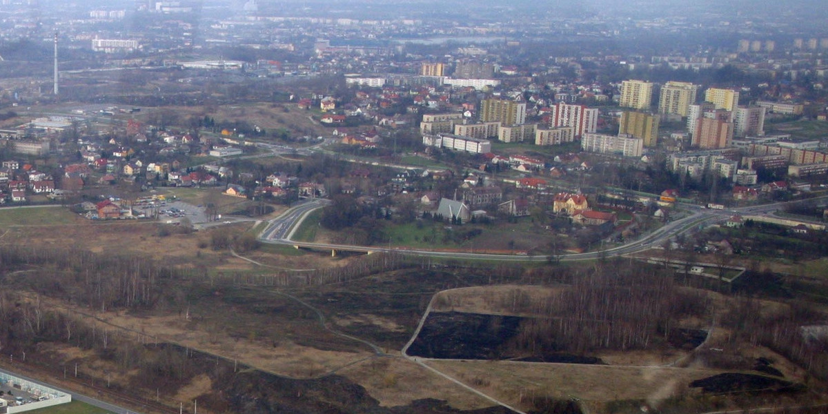 Borek Falęcki