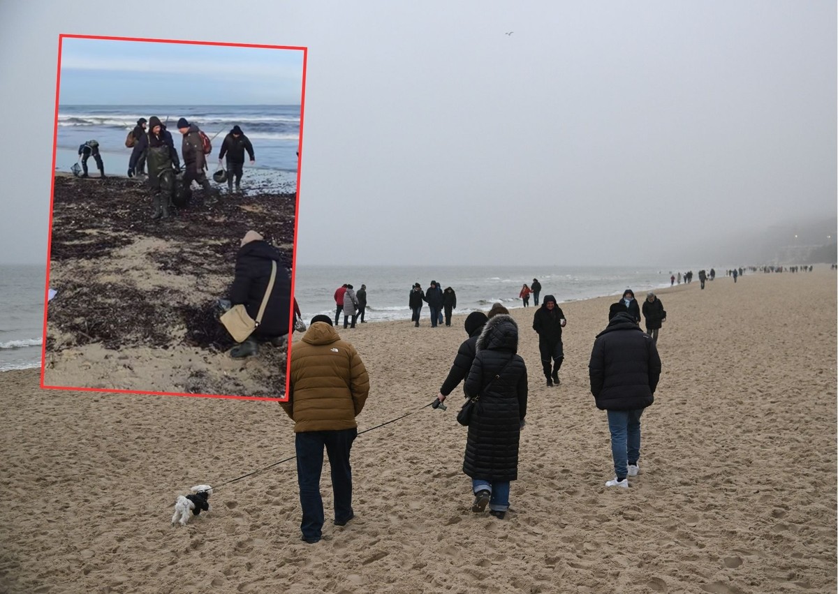 Bałtyk wyrzucił na brzeg prawdziwe skarby. "Co tu się dzieje"