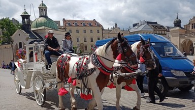 Upały w Krakowie. Podjęli decyzję w sprawie dorożek