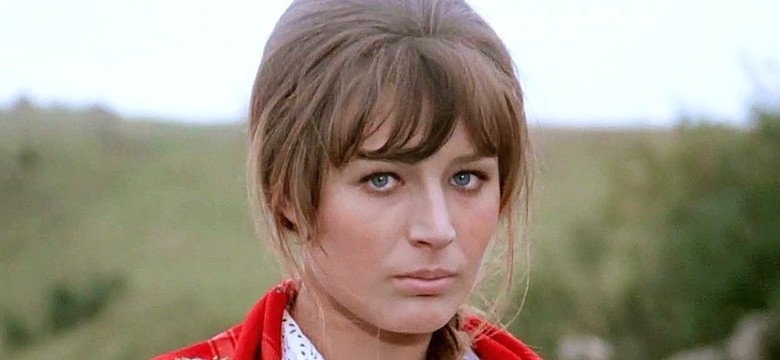 Quiz. Dopasuj postać do polskiego serialu. 25/25 zdobędzie tylko mistrz