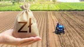 Ruszył nabór wniosków o dofinansowanie inwestycji rolnych. Ile można dostać?
