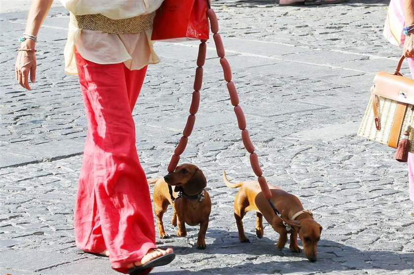 Serdelki pięknej księżniczki. Foto