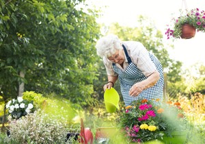 Cveće koje ne mrzne i vraća se svake godine