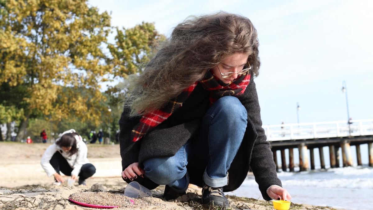 Przesiewanie piasku w poszukiwaniu drobin plastiku na plaży w Gdyni