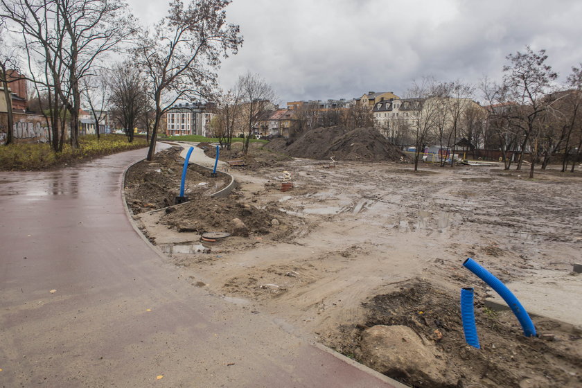 Powstaje park w zaniedbanym Starym Korycie Warty