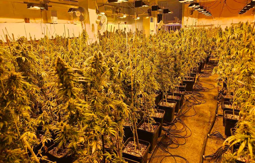 Ovo je laboratorija za uzgoj marihuane u Kruševcu
