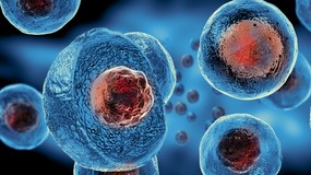 Mini-mózgi pod kontrolą elektroniki. Przełomowe narzędzie pozwala „podsłuchać” pracę neuronów