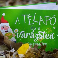Mesekönyv ajánló: A Télapó és a varázstea története