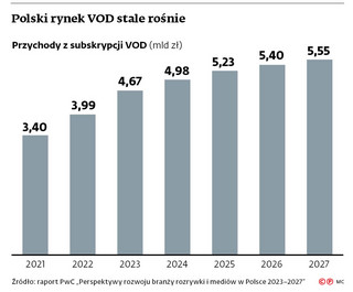 Polski rynek VOD stale rośnie