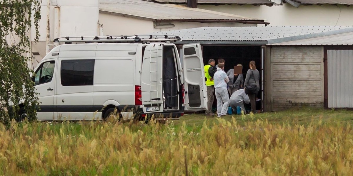 Egzekucja na fermie drobiu. Pracownik zabił właściciela?