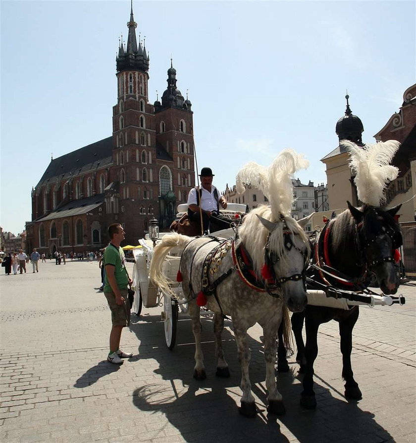 Dorożki wróciły na Rynek