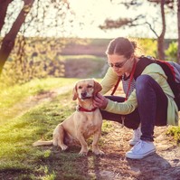 Kullancsinvázió: így védhetjük meg kedvencünket