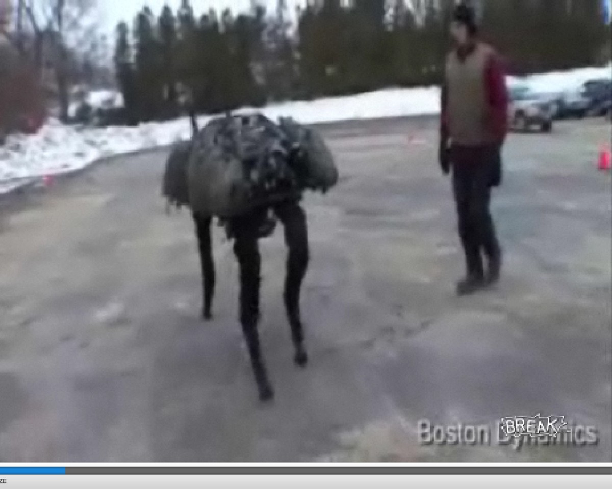 Robo-pies brzmi jak mucha, budzi lęk