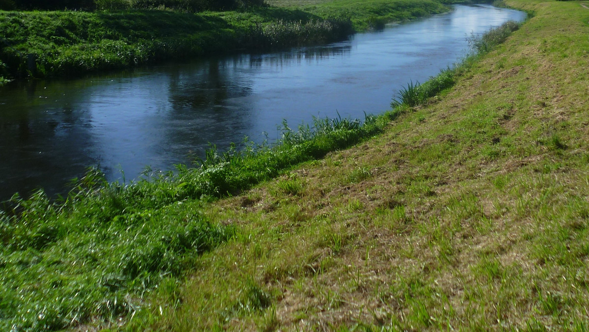 Rzeka Łeba w woj. pomorskim przerwała wał przeciwpowodziowy. Nagranie