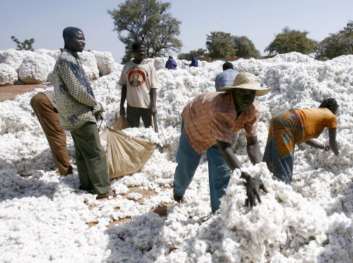 BURKINA-ECONOMY-POVERTY-COTON