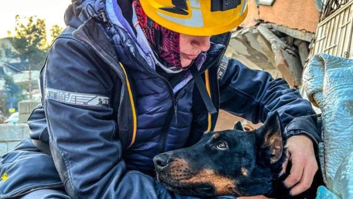 „Ha hívnak minket, menni kell" - Solka, a magyar kutya és gazdája, Erzsébet életet mentettek Törökországban