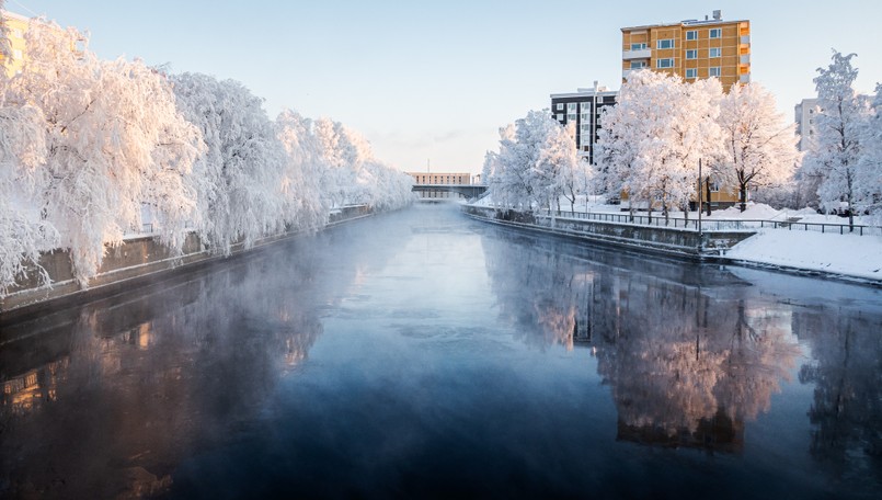 Frozen,Trees,Surrounding,River,In,Oulu,,Finland