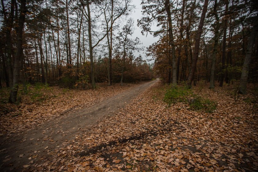 Sfingowali napad na konwój w Śremie. Trwa proces ochroniarzy