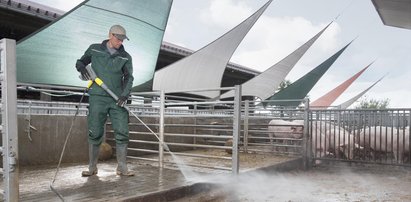 Nie uwierzysz! Dadzą ci kasę na sprzątanie!