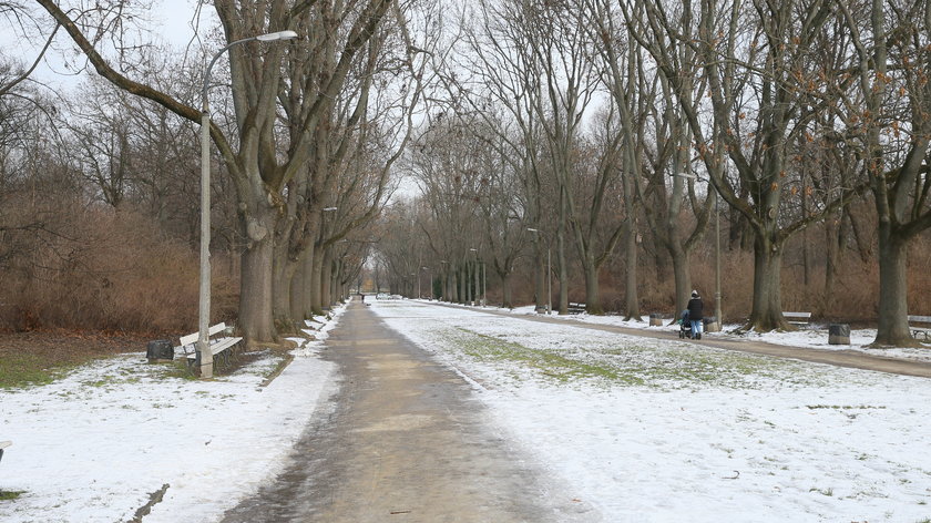 Park Skaryszewski jest zabytkiem