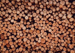 Co moje to moje. Jakie są granice własności prywatnej?