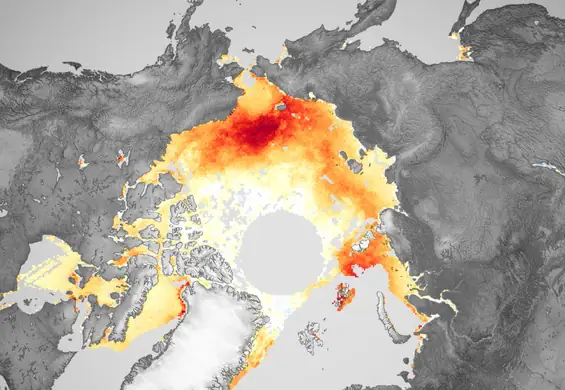 NASA podsumowuje 40 lat topnienia lodu. "Statki bez problemów docierają na biegun północny"