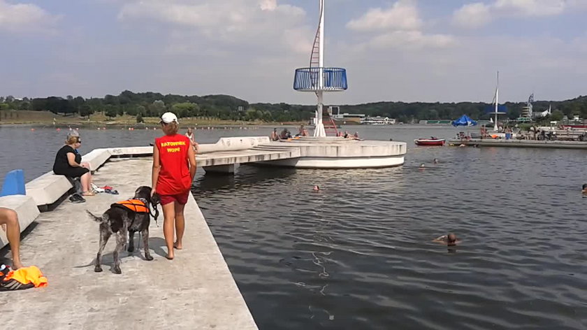 Piknik rodzinny na plaży nad Wartą!