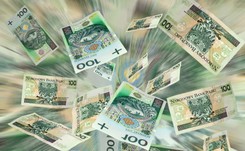 Cały kraj stanie się specjalną strefą ekonomiczną. 'Polsce zależy na przyciągnięciu inwestorów zagranicznych'