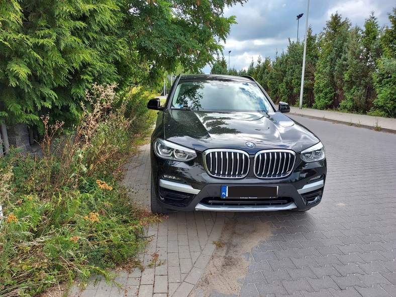 To nie jest odosobniony przypadek, gdy z chodnika o szerokości niemal dwóch metrów dla pieszych pozostaje ok. połowa tej szerokości. W tej konkretnej sytuacji, nie licząc parkowania tuż przed skrzyżowaniem, gdyby nie roślinność z powodzeniem zmieściliby się zarówno piesi, jak i samochody