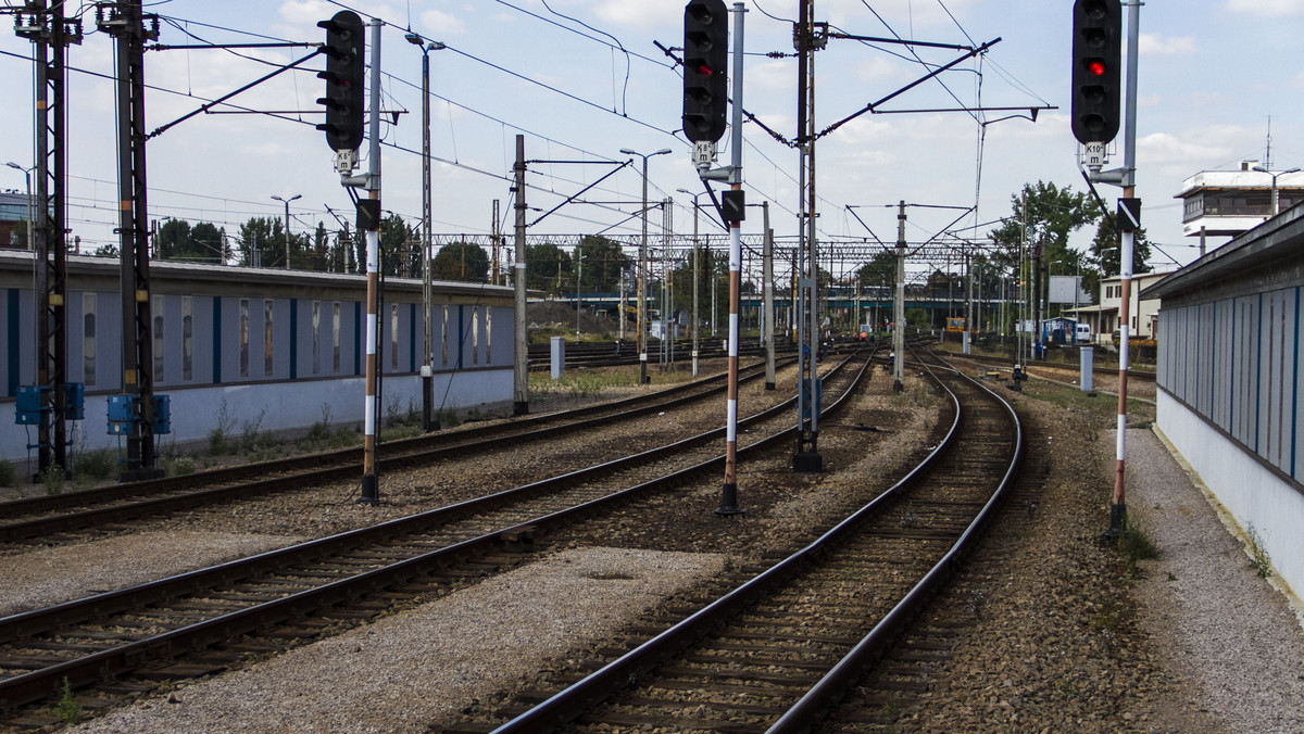 Na tory regionu wyruszają pierwsze "Elfy". To pociągi, które w ramach programu BiT City zakupiło Kujawsko-Pomorskie. Kursować będą na trasie Bydgoszcz Główna - Toruń Wschodni.