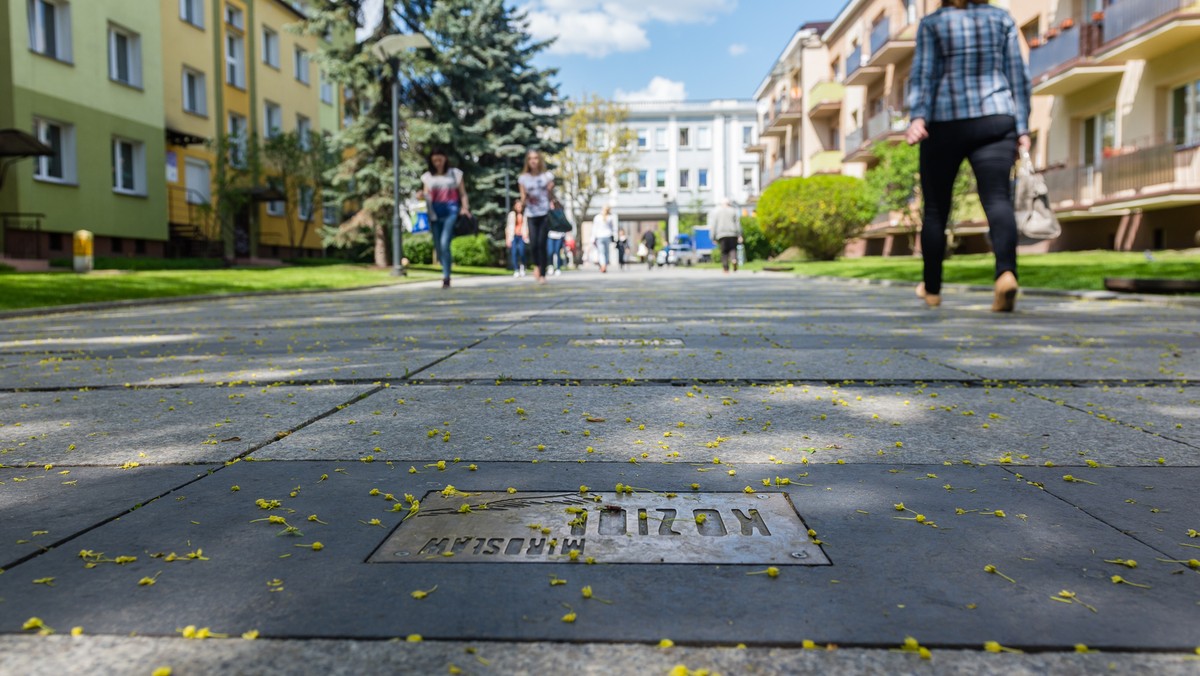 Siedem nowych tabliczek z nazwiskami zostanie odsłoniętych w Aleji Bluesa. W ten sposób Białystok, miasto najstarszego festiwalu bluesowego, uhonoruje kolejne osoby, które miały znaczący wkład w popularyzację tego gatunku muzyki w Polsce.