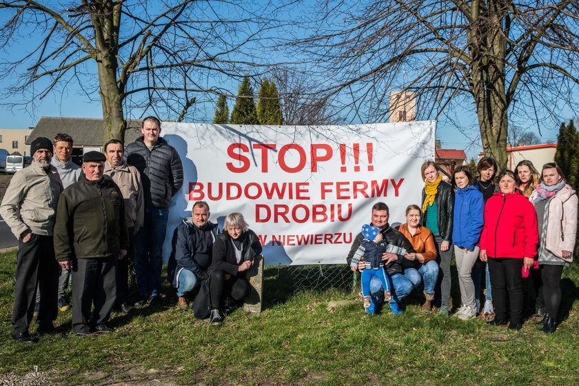 Nie będzie fermy w Niewierzu