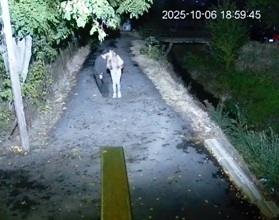 Šok detalji odnosa Sofije Janićijević i Daneta (70): Postoje intimni snimci