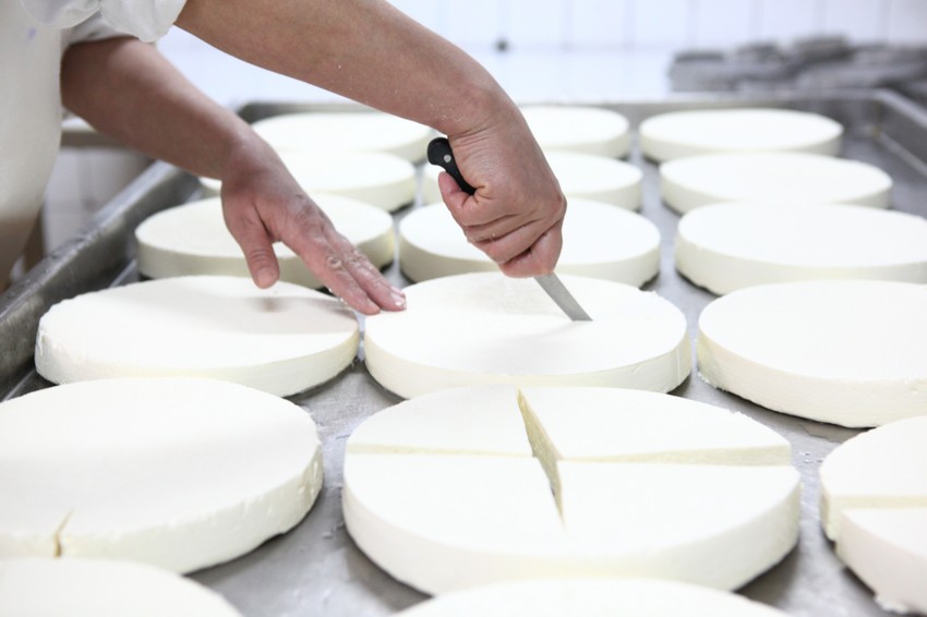 Najosetljivija potrošnja belog sira