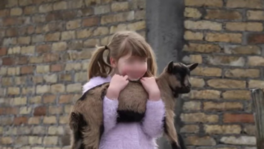 Branko Janković imanje