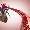 Vrednosti lipoproteina (a) su stabilne, pa jedan uzorak krvi daje doživotni odgovor na pitanje da li osoba nosi ovaj genetski rizik